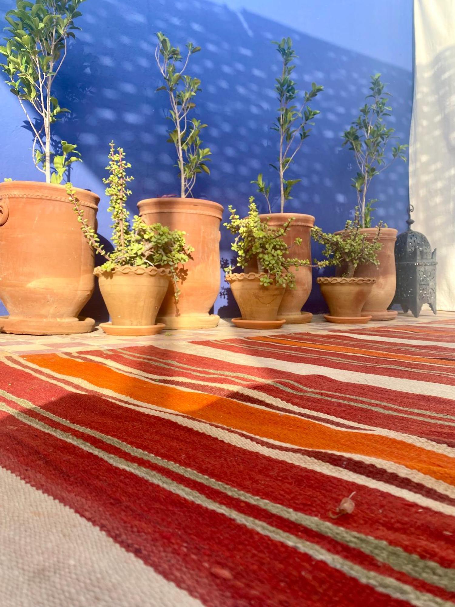 Riad La Perle De Bacha マラケシュ エクステリア 写真